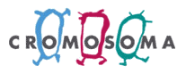 logo Cromosoma